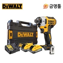 디월트 DCF887H2A 충전임팩드라이버 20V 5.0AH 2팩 파워스텍배터리 3단속도조절, 2개