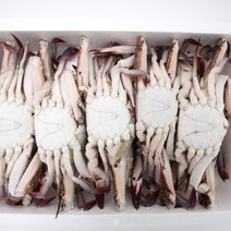 냉동숫꽃게라운드(중국산) 4kg(150g~200g)22-23미내외, 단품