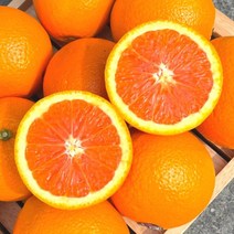 카라카라 오렌지 10과, 돌파쿠팡 1, 상세페이지 참조, 상세페이지 참조