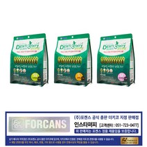 포켄스 덴티페어리 클로로필 410g +랜덤간식, 1개, S
