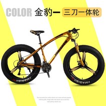펫자전거 바퀴큰 성인 mtb 팻 바이크, 27단, 24인치, 10. 골드4