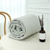웜바디 한일 탄소매트 카본 전기요 캠핑 침대용 전기매트, 싱글SS