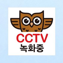 뭉키데코 뭉키데코 생활스티커_부엉이 CCTV촬영중02(칼라) (2811185)