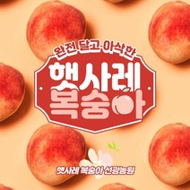 완전 달고 아삭한 햇사레 복숭아, 10내외, 1개