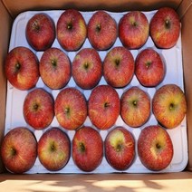 상주사과 백화산사과 3kg 12과 내외 문장대사과 성주봉사과, 상세페이지 참조, 상세페이지 참조