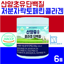 바디프로젝트 산양초유단백질 산양유초유 단백질 분말 락토페린분말 분리유청단백질 유당불내증 없는 단백질보충제, 6통