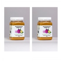 Waitemata 웨이트매타 뉴질랜드 클로버 앤 피조아 꿀 Clover Feijoa Honey 500g 2팩