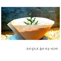 토양개량제&사료보조제 325메쉬 일라이트파우더, 1kg