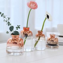 오너클랜 인테리어 유리 화병 미니 꽃병 디퓨저병, 골드화병A