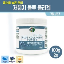 연어콜라겐 파우더 저분자 피쉬콜라겐 추출 분말 블루베리 로얄제리 먹는 이너뷰티 흡수율 높은 생선 껍질 어류 콜라겐 가루 COLLAGEN 캐나다, 2세트, 연어 콜라겐 파우더 100g