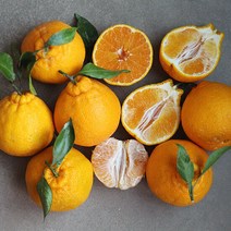 새콤달콤 제주 한라봉 실속형 1kg(4~6과), 단품
