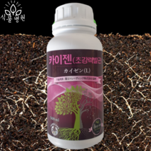 카이젠 500ml 뿌리 발근제 영양제 구근 양파 마늘 고추 관주 발근 촉진제