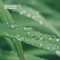 프랑스와즈 팔마로사 에센셜오일, 100ml