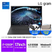 LG그램 14인치 17인치 14ZB90Q 17Z90Q 인텔 i7 12세대 16GB 512GB 초경량 999g WIN11 블랙 인강용 사무용, 그레이(17인치), 17Z90Q-K.AAC7U1, 코어i7, WIN11 Home