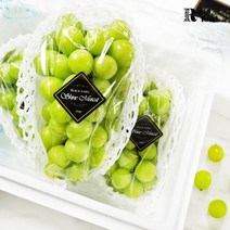 블랙라벨 샤인머스켓 1.5kg 아이스박스, 없음