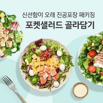 포켓샐러드 간편한 밀키트 채소 야채 샐러드 도시락 골라담기, 08.닭가슴살볼 깻잎가득 샐러드