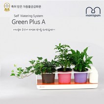 일음샵주_맘스품 무동력 자동급수시스템화분( 3 pot ))(_화분만) 무동력 물순환 화분 쿠아리 플라스틱화분 컬러화분 미니화분 인테리어화분 공기정화식물 컬러화분 자동급수화**em피, 령~*