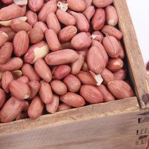 신난데이 고소한 맛이 일품 국내산 남지볶음땅콩, 볶음땅콩 500G