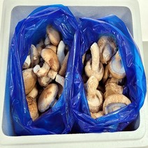 송향버섯 실속형 무농약 친환경 재배, 1박스, 식당용(파지)2kg