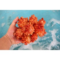 남해안 통영 제철 활멍게 / 깐멍게 500g 1kg 2kg