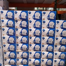 [브리타] 맥스트라 플러스 정수기 필터 4개 / 6개 코코넛 활성탄 [코스트코], 2. 6개