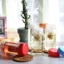 국산(친환경) 마이보틀 그린티 트라이탄 보틀 제작, 500ML 그린티 퍼플 무지