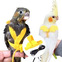 앵무새 반려새 하네스 발목링 산책 리드줄 날림장 집 회색앵무 새장 모란앵무, 1-앵무새하네스-XS
