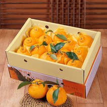[푸르젠] 제주 한라봉 3kg(13~17과), 상세 설명 참조