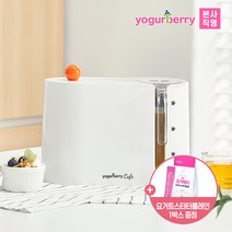 휴럼 요거베리 요거트 메이커 카페 1박스 + 요거베리 스타터 플레인 증정, 단품