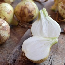 양파 5kg 특크기 (22년수확), 1개