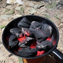 캣테일 캠핑 숯 점화 차콜 스타터 냄비