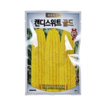 청농종묘 캔디스위트골드 초당옥수수 100립
