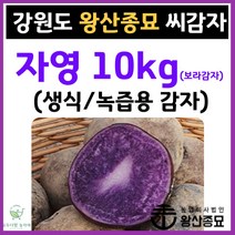 왕산종묘 자색 씨감자 [ 자영 10kg ] 생식용 감자 녹즙용 감자 보라색 감자 감자씨앗 햇감자 정품씨감자 대서 두백 홍영 자영 백작 왕산 수미 씨감자 강원도 씨감자, 자영 10kg ( 생식용 / 녹즙용 감자 )