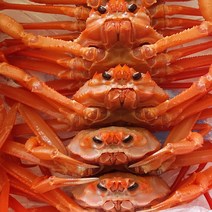 파파쉐프 대게 국내산 찜홍게 실속형 자숙홍게 3kg 홍게