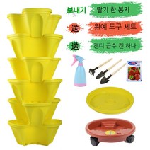 베란다 테라스 정원 실내 식물 딸기 수직 화분 키우기, 옐로 6개 물받이+일반 트레이+범용트레이