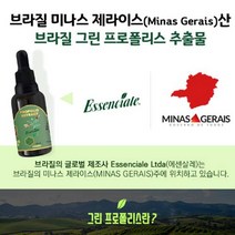 브라질 그린 프로폴리스 항산화 구강항균 면역력 영양제