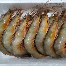 [푸디앤] 서해 자연산 급냉 대하 (왕새우) 1kg, 자연산 대하1kg (왕특대 )_12~14미