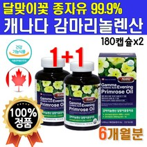 식약처 인증 캐나다 직수입 달마지꽃 종자유99% 1박스 약 3개월분 180캡슐 달맞이씨유 달맞이유 달맞이꽃유 달맞이종자유 감마리놀레산 달맞이오일 달맞이꽃종자 PRIMROSEOIL, 2개(6개월분)