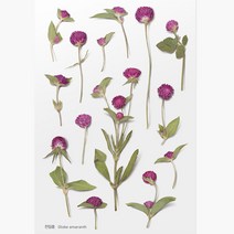 압화스티커 다꾸 폰꾸 스티커 천일홍 꽃스티커 압화책갈피