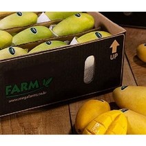 고당도 필리핀 카라바오 생망고 5kg 20-24과, 망고 5kg 24과M(180g이상)