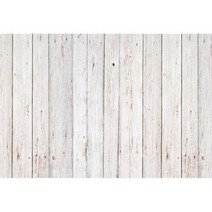 사진촬영배경지 생일 파티 배너 어린이 반려동물 동물 초상화 사진 촬영, Vinyl 220x150cm+NWH07376