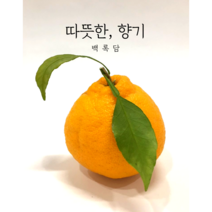 백록담 제주한라봉 2kg 3kg 5kg 가정용 선물세트, 한라봉 대과 선물용 3kg