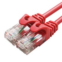 대원티엠티 CAT 5E UTP 랜 케이블 30m DW-UTP5E, 레드, 1개