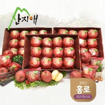 산지애 2023년 햇사과 홍로 9kg (3kg*3박스), 3개