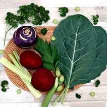 프레시잉 유기농 무농약 케일 레드비트 샐러리 신선초 콜라비 생파슬리, 유기농 케일 2kg