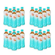 티트리트 여우티 500ml 24개 정품, 500ml x 24개