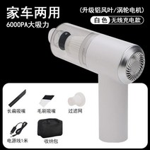 대형청소기 대형청소기 자동차용 가정용 창문 청소기 충전식 무선 파워 식차량내부 창턱 홈 틈 소형차 클린기, T06-충전 화이트알루미늄 바람팬