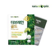 은행잎추출물 징코 뇌영양제 포스파티딜세린, 징코플러스