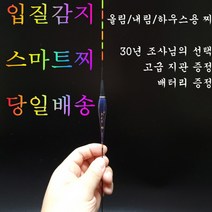 일야 민물 전자찌 스마트찌 민물낚시찌 하우스 찌 중층 수제 고부력 저부력 내림 나노 올림찌 장찌, EN-06(중부력)