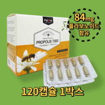 파이오라 프로폴리스 면역력 높이는 영양제 파이오라 7000mg 120캡슐, 120캡슐 1개, 1개